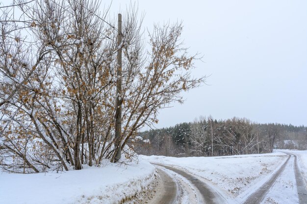 Route d'hiver enneigée dans une forêt de montagne