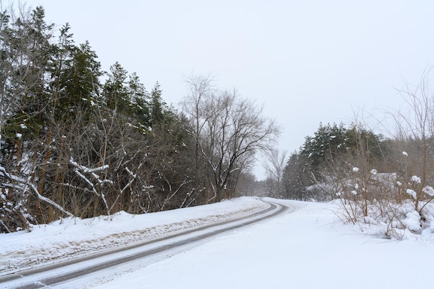 Route d'hiver enneigée dans une forêt de montagne