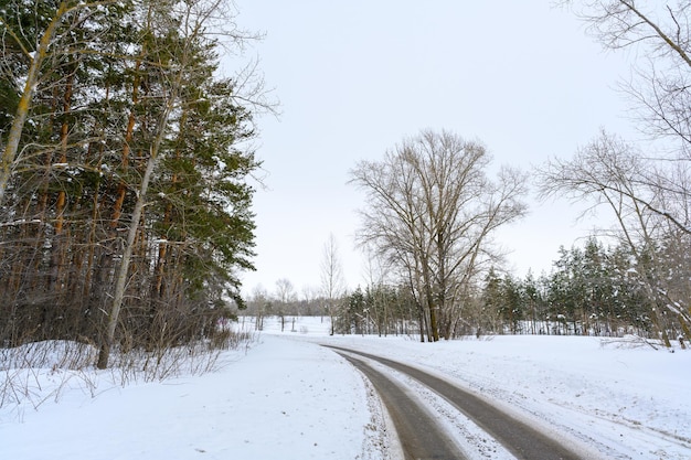 Route d'hiver enneigée dans une forêt de montagne