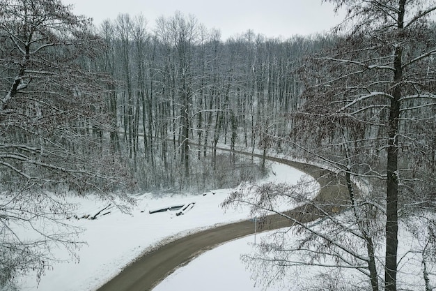 Route d'hiver et forêt