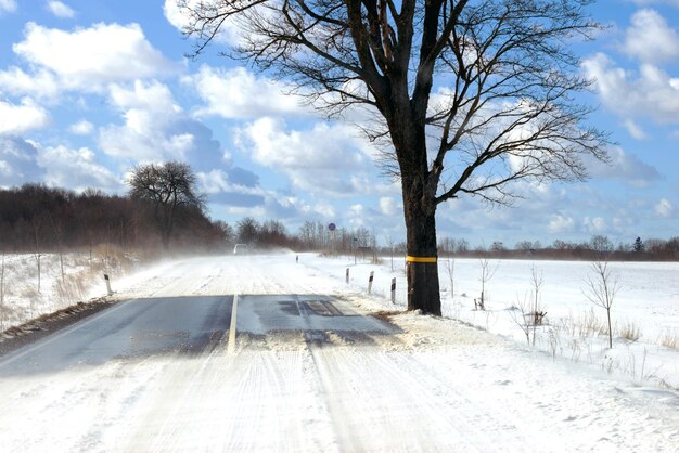 Route d'hiver avec de la neige et des arbres par une journée ensoleillée à la campagne