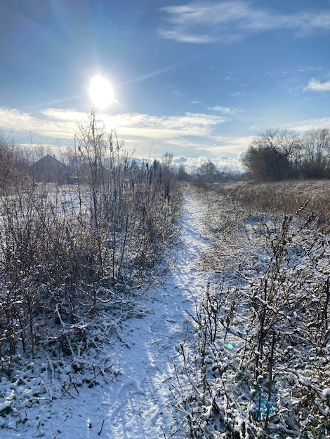 Route d'hiver sous le ciel bleu