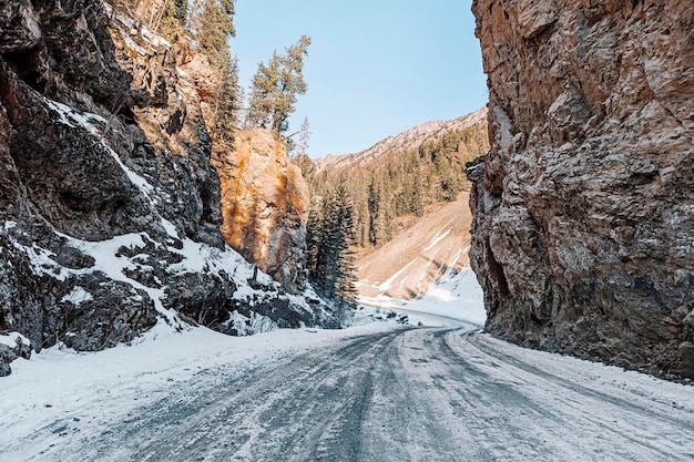 Route d'hiver à travers les rochers sur le fond d'une forêt d'hiver avec des arbres de Noël.