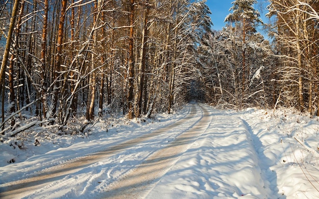 La route d'hiver