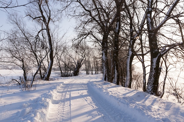 Route en hiver