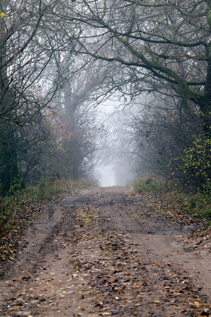 route en hiver