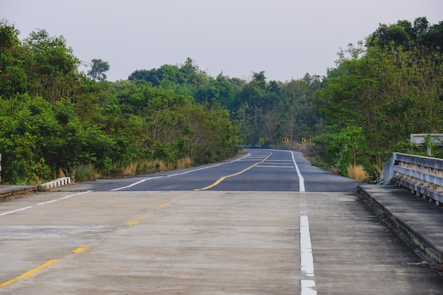 La route de la jungle