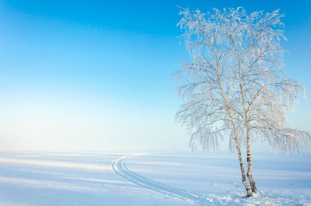 Une route sur un lac gelé un jour d'hiver.