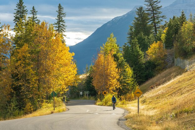 Route des lacs Vermilion en automne feuillage saison journée ensoleillée Banff Legacy Trail Banff National Park