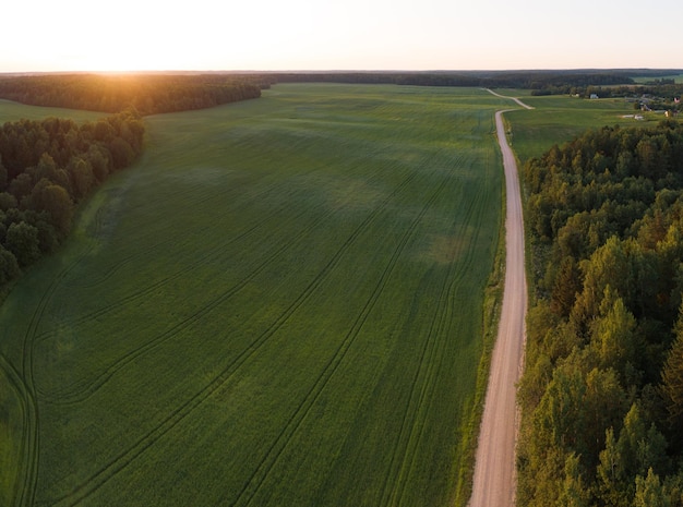 Route le long de la forêt et des champs