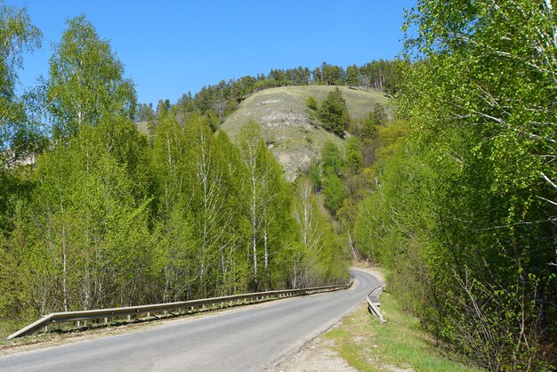 La route menant à la forêt. Parc national. Réserve.