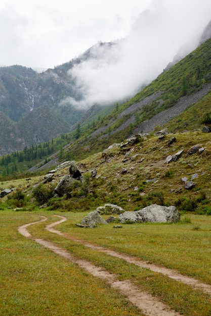 route mène à des falaises couvertes d'herbe et enveloppées de brouillard matinal