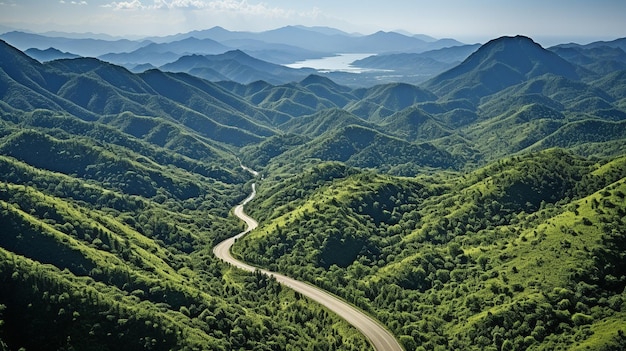 Une route de montagne au milieu d'une forêt verte profonde vue d'en haut