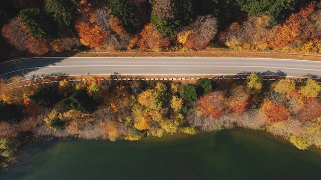 Route de montagne d'automne