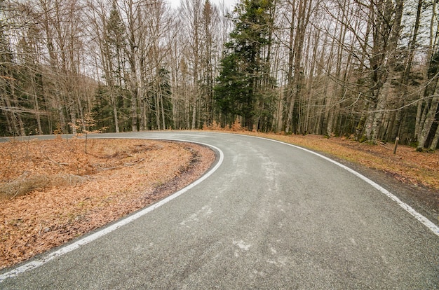 Route de montagne en automne.