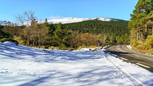 Route de montagne à côté de la forêt enneigée par une journée d'hiver ensoleillée. Navafria Madrid.