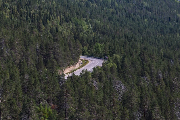 Route de montagne dans la forêt vue sous un angle élevé