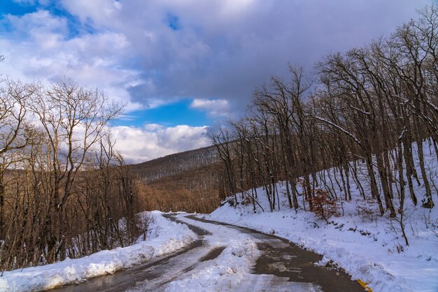 Route de montagne enneigée parmi la forêt