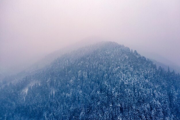 Route de montagne enneigée et vue sur les drones forestiers