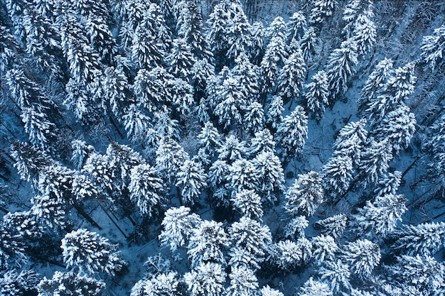 Route de montagne enneigée et vue sur les drones forestiers