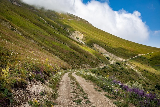 Route de montagne qui monte