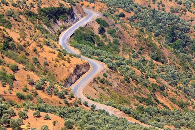 Route de montagne sinueuse, route asphaltée dans la forêt d&#39;été, paysage marocain