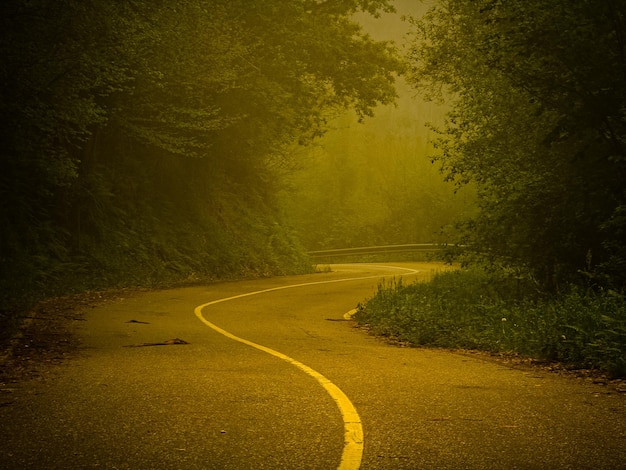 route de montagne traversant une forêt