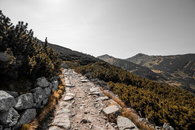 Photo route de montagne