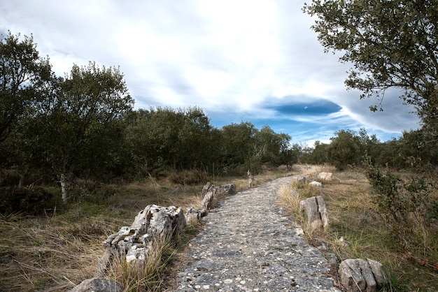 Photo route de montagne