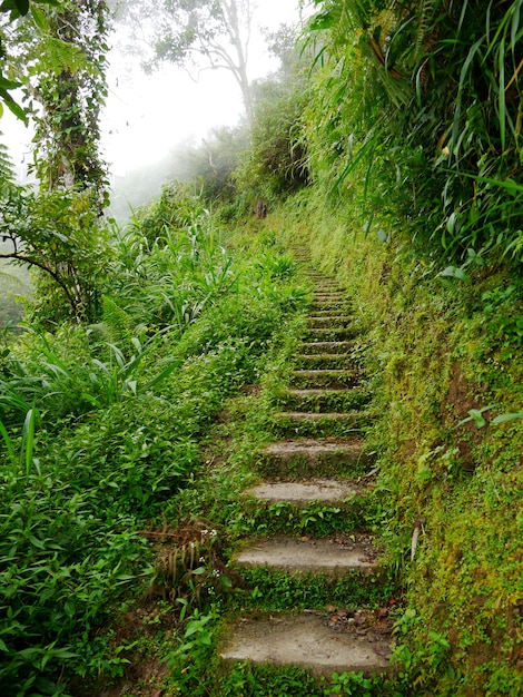 La route sur les montagnes à Banaue aux Philippines