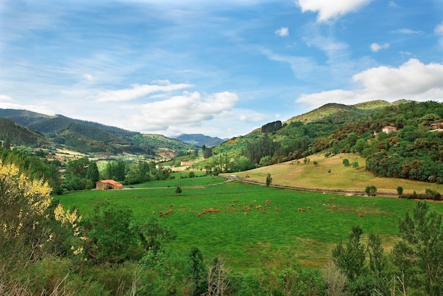 Route et montagnes dans le nord de l'espagne