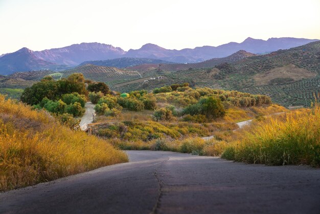 Photo route et montagnes de la sierra de grazalema vue depuis olvera au coucher du soleil olvera andalousie espagne