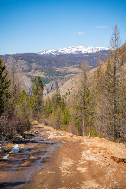 Route en montée avec de grosses pierres à l'arrière-plan de la forêt et des montagnes tout-terrain dans l'Altaï Russie