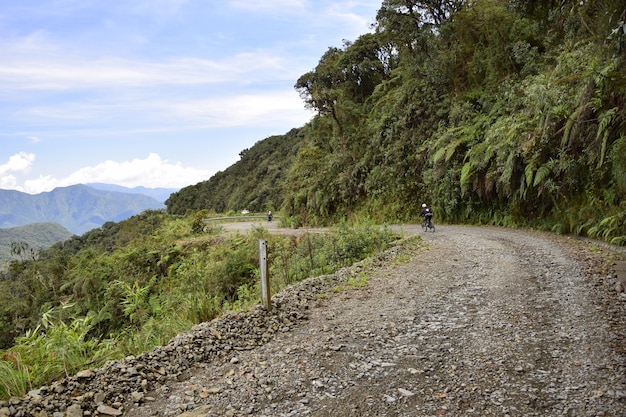 Route de la mort Camino de la Muerte Yungas North Road entre La Paz et Coroico Bolivie