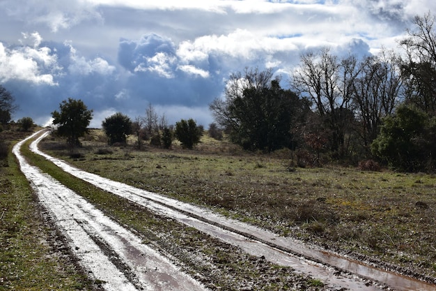 Route mouillée après la tempête avec ciel nuageux, Guadalajara, Espagne