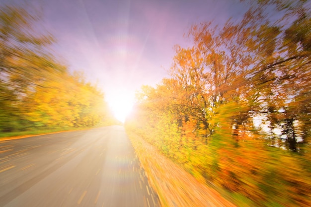 Route mouillée glissante entourée de beaux arbres d'automne jaunes brouillard devant Belle saison d'automne