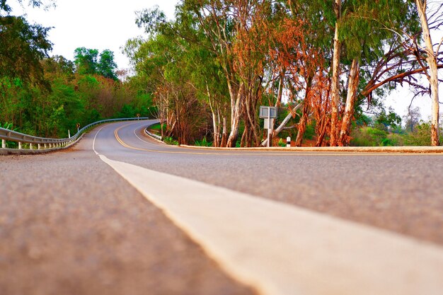 route et nature