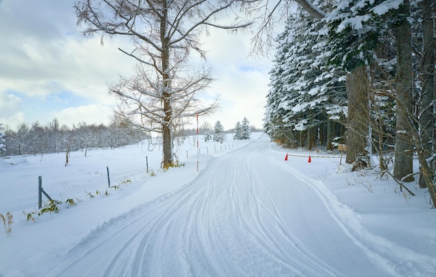 Route de neige vide avec traces de pneus dans la forêt