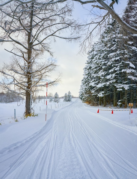 Route de neige vide avec traces de pneus dans la forêt