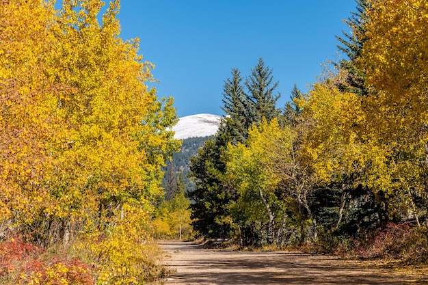 Route non pavée à la journée ensoleillée d'automne