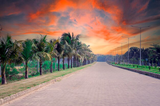 Une route avec des palmiers dessus et le ciel est rouge et orange.