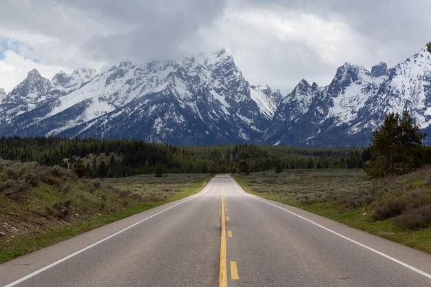 Route panoramique entourée de montagnes et d'arbres dans le paysage américain