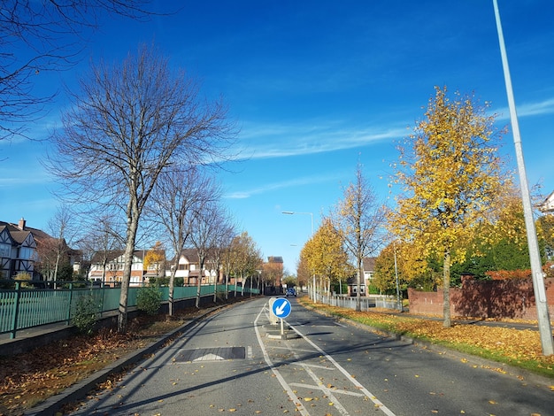 Une route par les arbres contre le ciel bleu