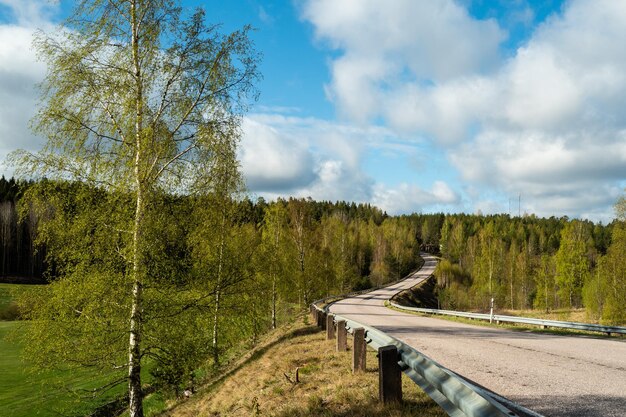 Une route par les arbres contre le ciel