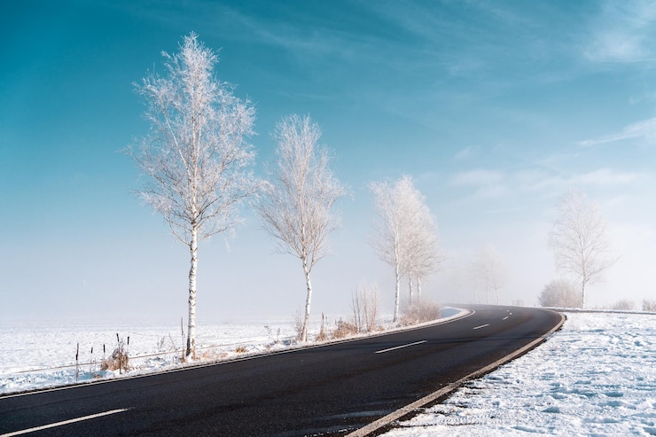Photo route par des arbres nus contre le ciel en hiver