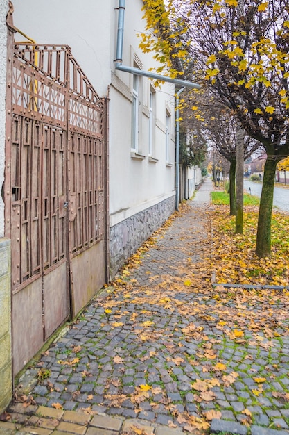 Photo une route pavée dans une petite ville en automne par une journée nuageuse des feuilles jaunes et des arbres en automne