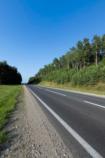 Route pavée avec plantes