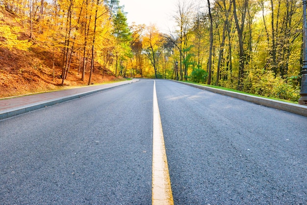 Route et paysage d'automne avec forêt dans le parc