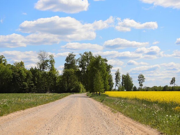 Route paysagère avec prairies