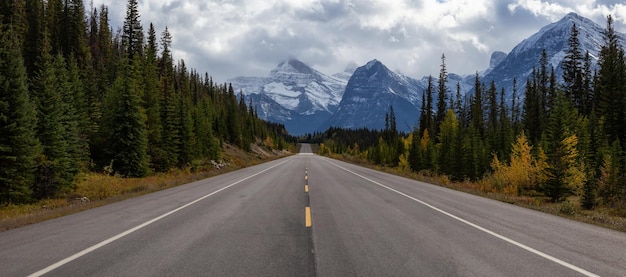 Route pittoresque dans les Rocheuses canadiennes